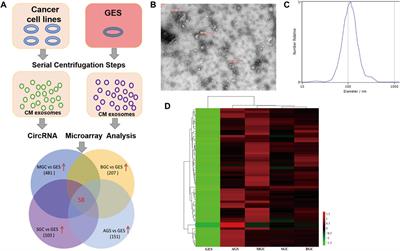 Plasma Exosomal hsa_circ_0015286 as a Potential Diagnostic and Prognostic Biomarker for Gastric Cancer